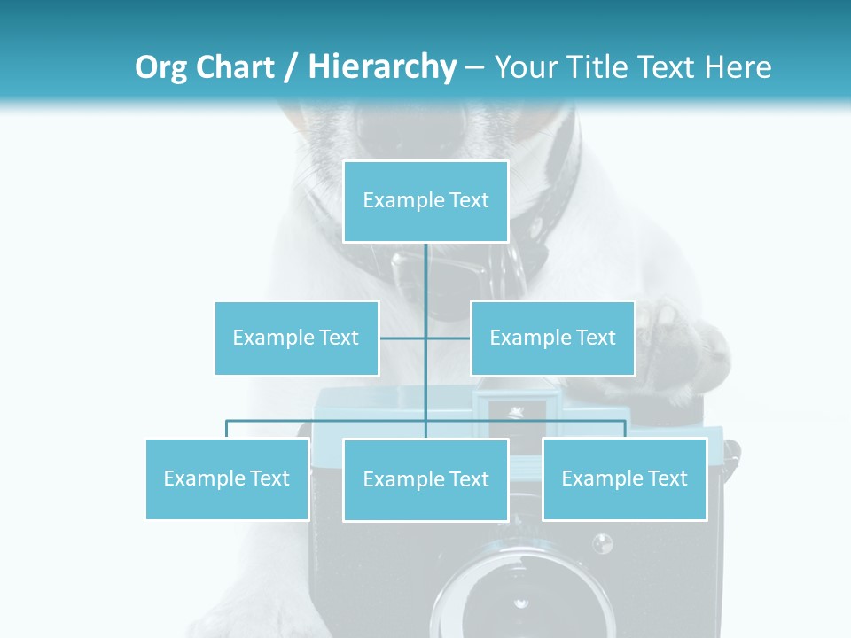 Photograph Photography Shot PowerPoint Template