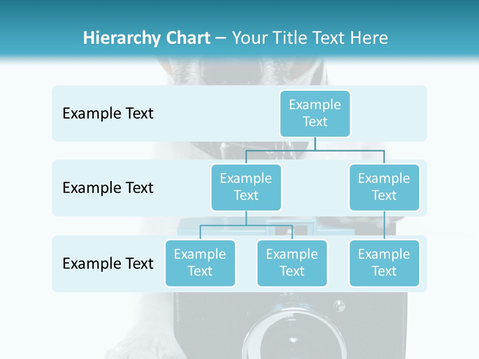 Photograph Photography Shot PowerPoint Template