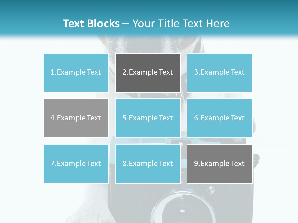 Photograph Photography Shot PowerPoint Template