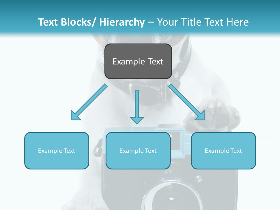 Photograph Photography Shot PowerPoint Template