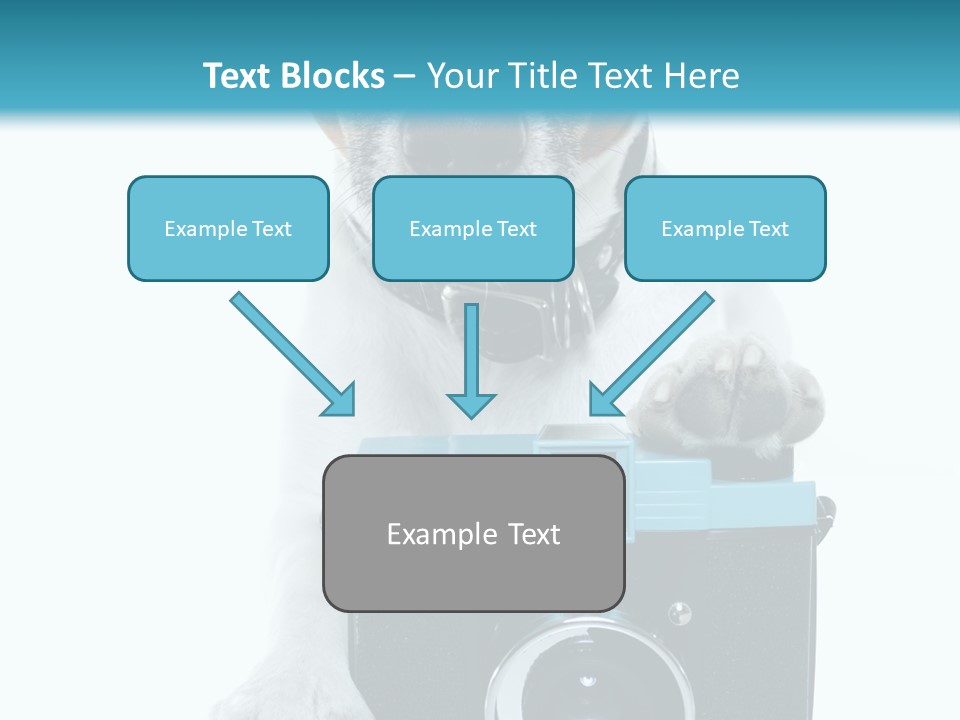 Photograph Photography Shot PowerPoint Template