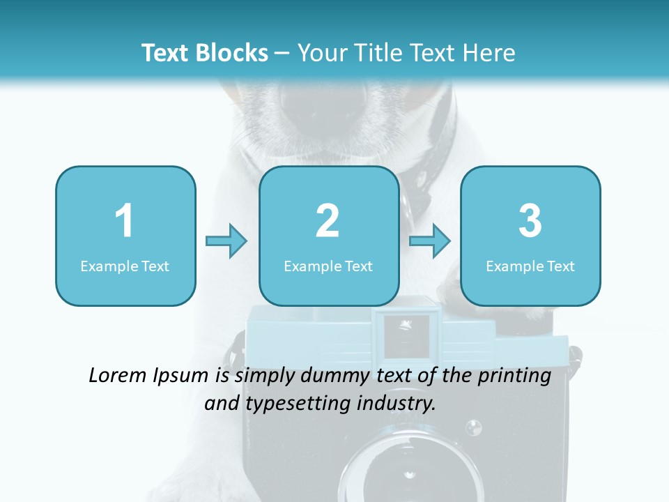 Photograph Photography Shot PowerPoint Template