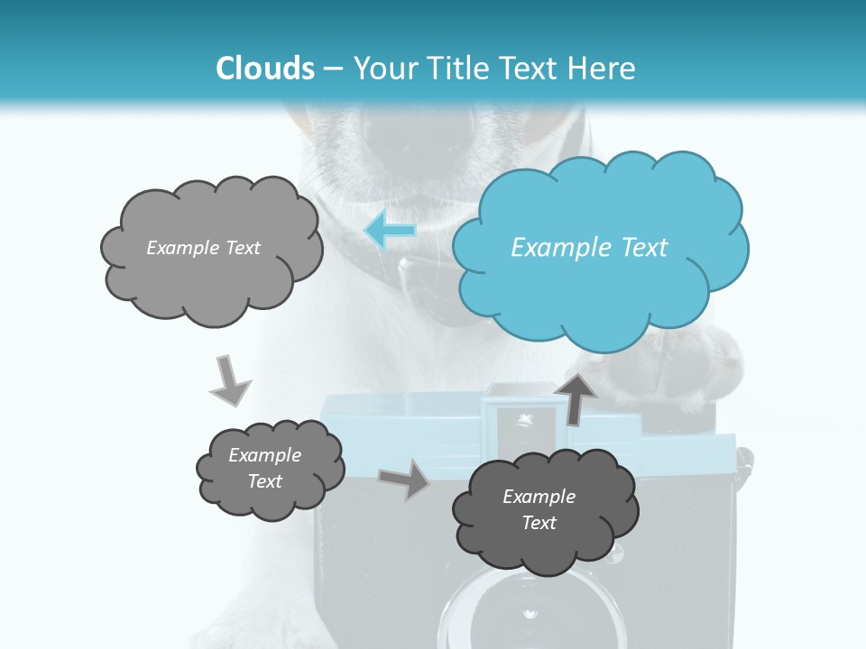 Photograph Photography Shot PowerPoint Template