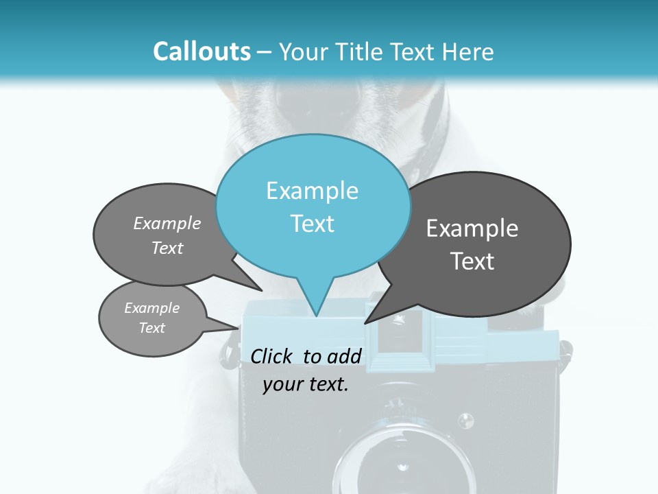 Photograph Photography Shot PowerPoint Template