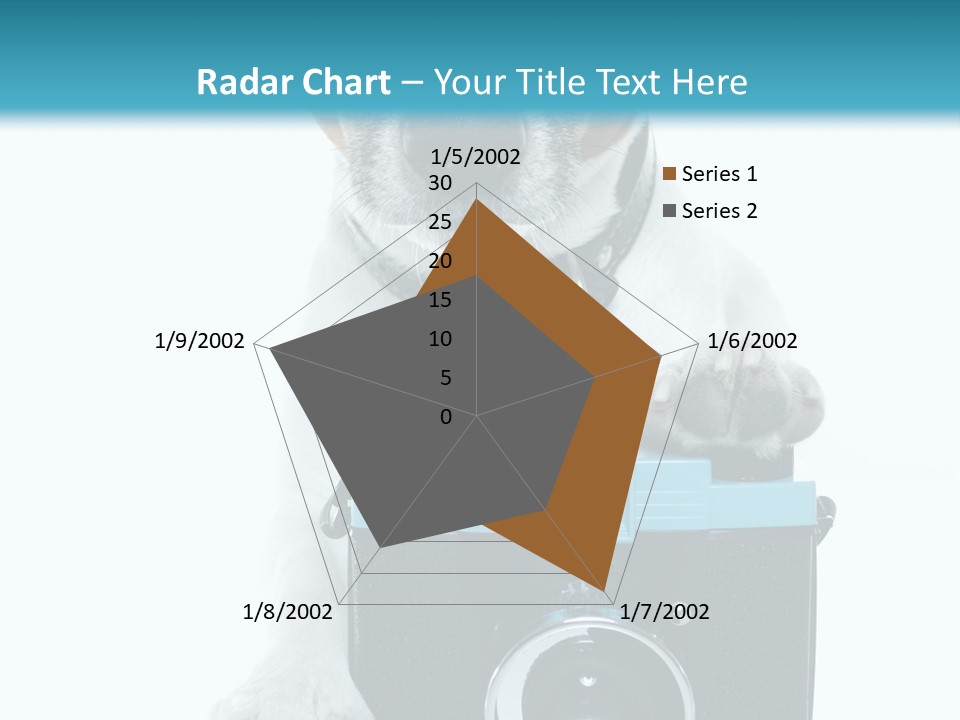 Photograph Photography Shot PowerPoint Template