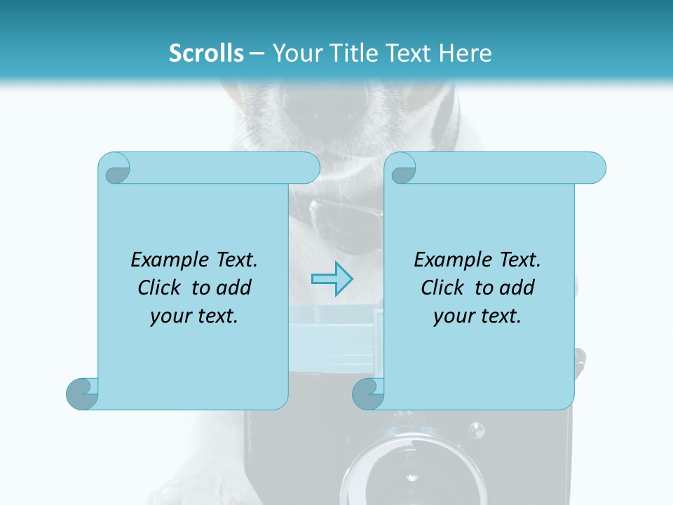 Photograph Photography Shot PowerPoint Template