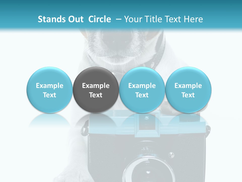 Photograph Photography Shot PowerPoint Template