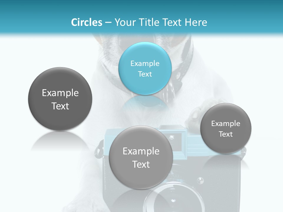 Photograph Photography Shot PowerPoint Template