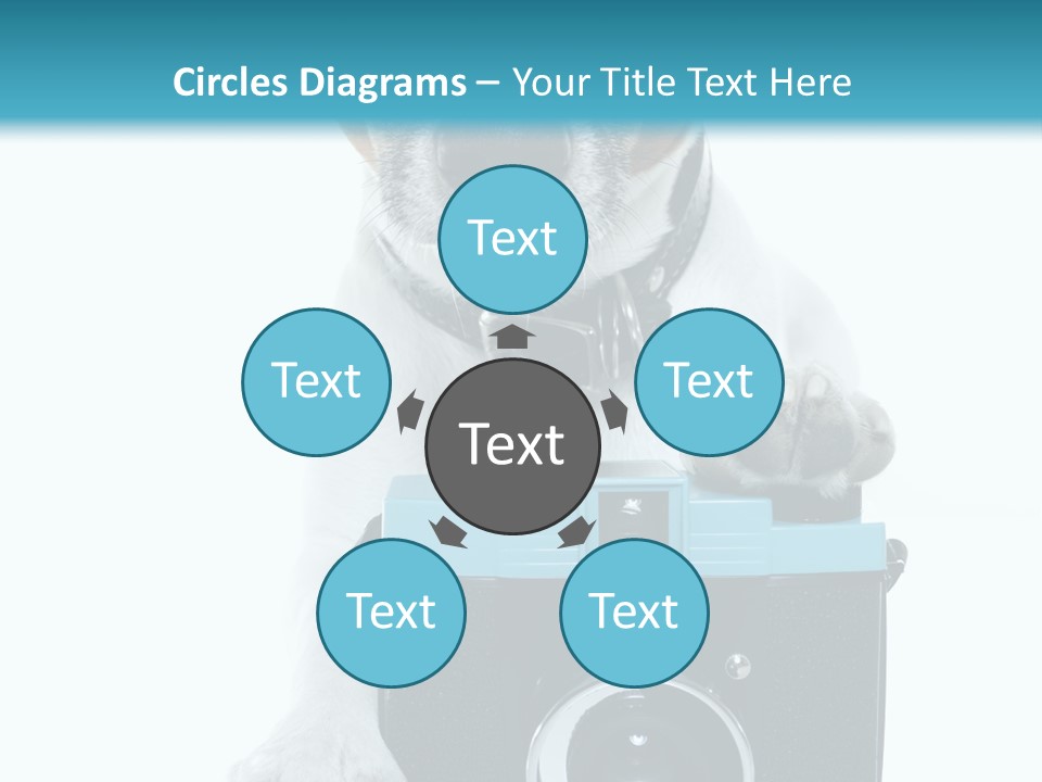 Photograph Photography Shot PowerPoint Template