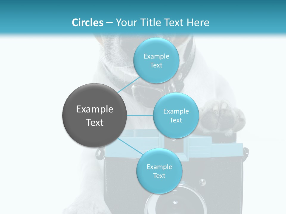 Photograph Photography Shot PowerPoint Template