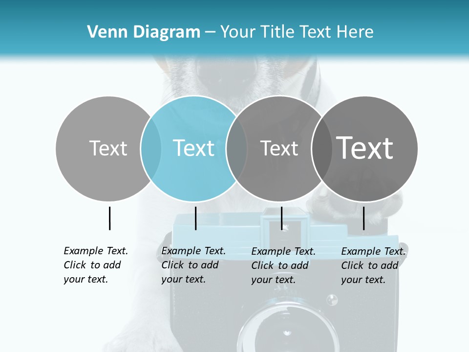 Photograph Photography Shot PowerPoint Template