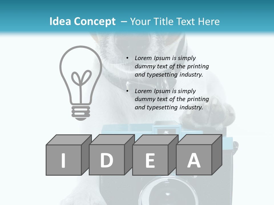 Photograph Photography Shot PowerPoint Template
