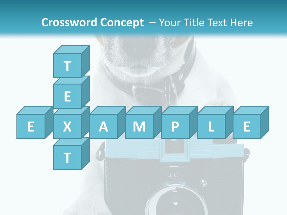 Photograph Photography Shot PowerPoint Template