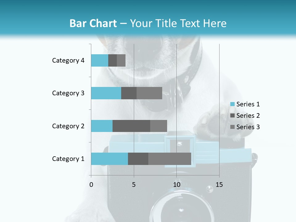 Photograph Photography Shot PowerPoint Template