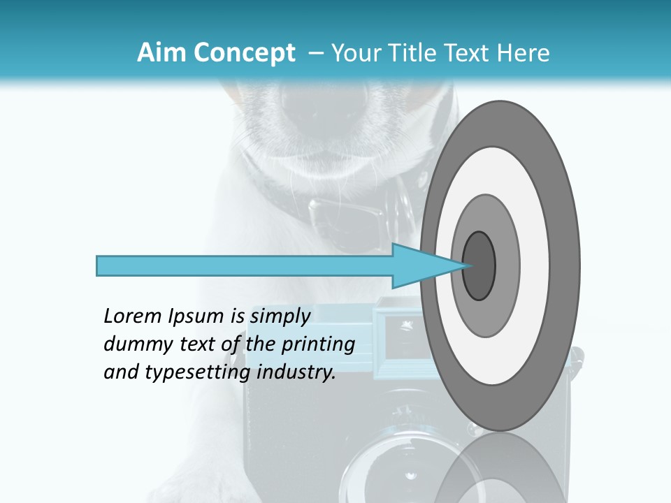 Photograph Photography Shot PowerPoint Template