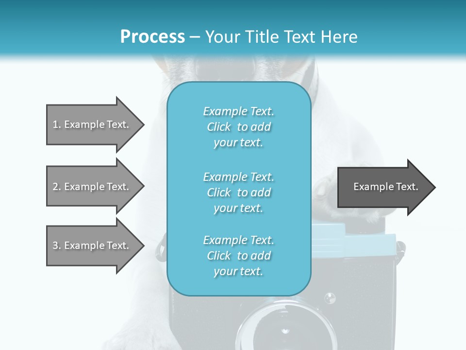 Photograph Photography Shot PowerPoint Template