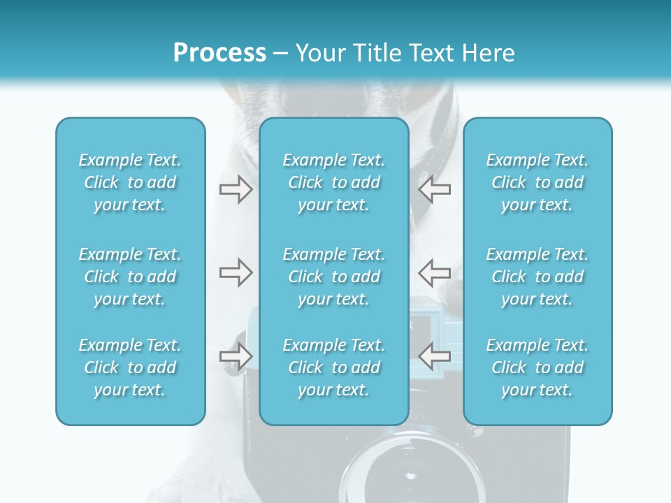 Photograph Photography Shot PowerPoint Template