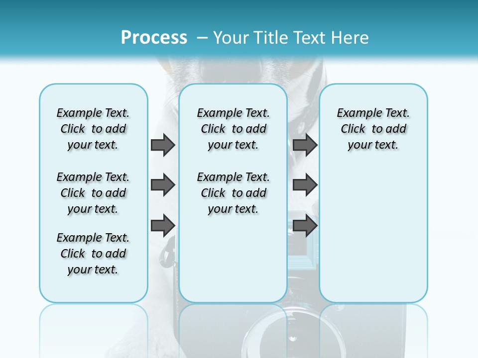 Photograph Photography Shot PowerPoint Template