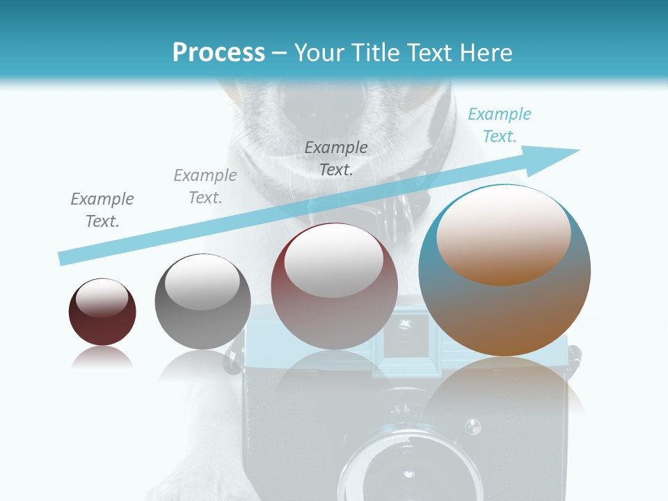 Photograph Photography Shot PowerPoint Template