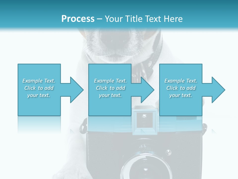 Photograph Photography Shot PowerPoint Template