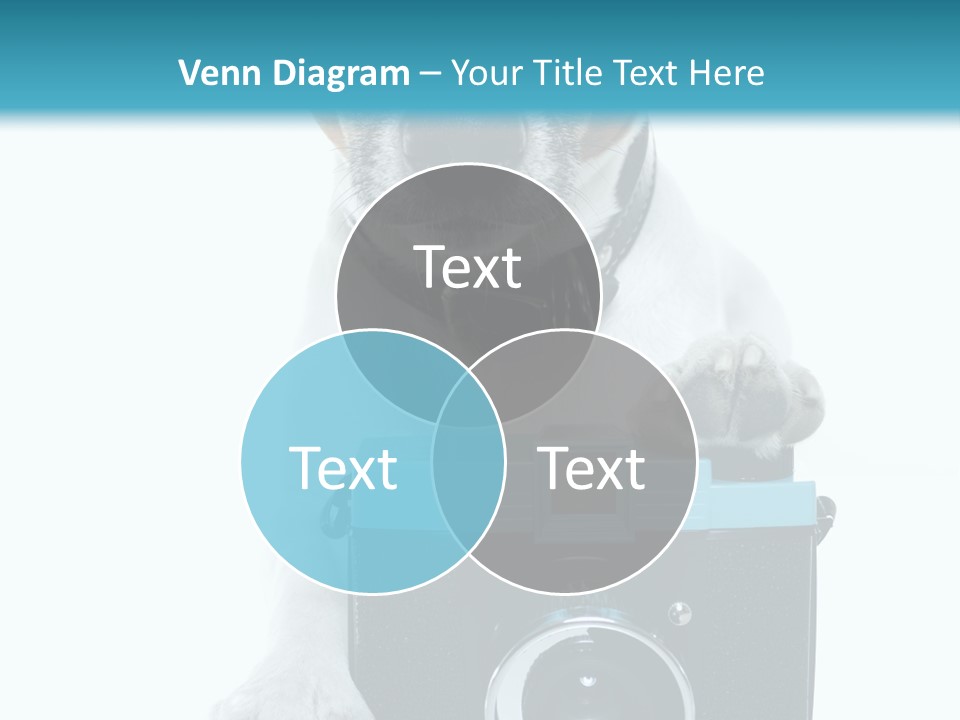 Photograph Photography Shot PowerPoint Template