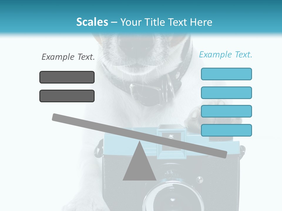 Photograph Photography Shot PowerPoint Template