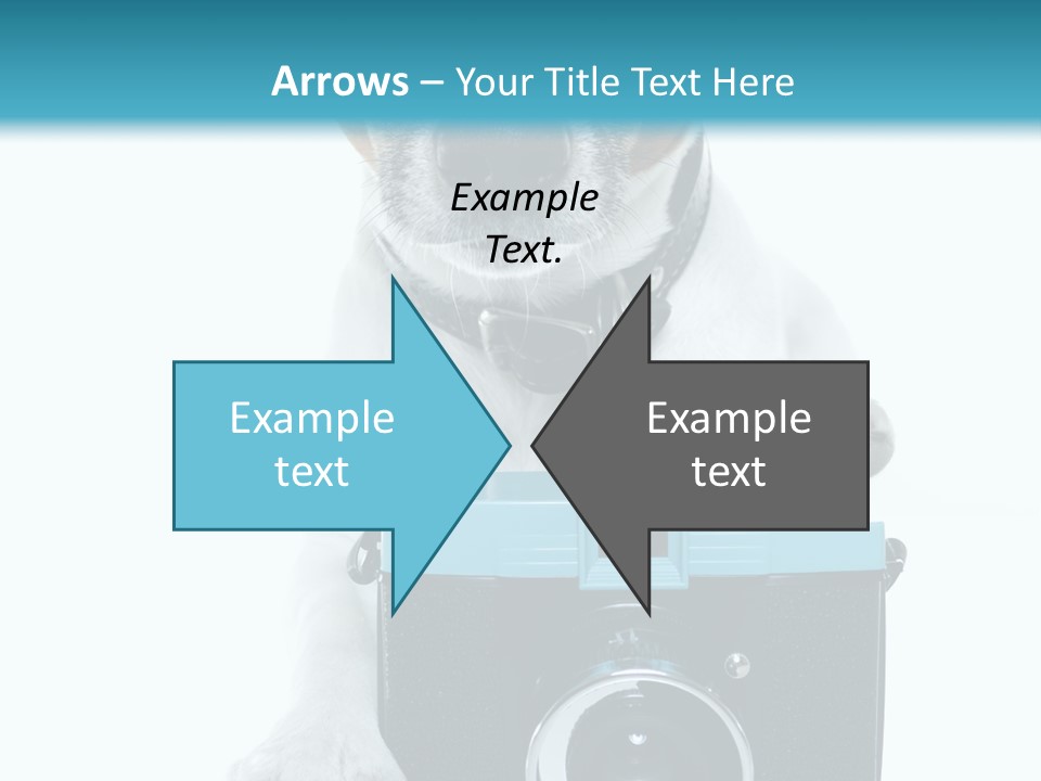 Photograph Photography Shot PowerPoint Template