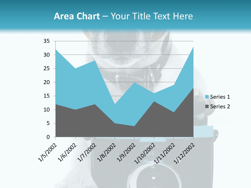 Photograph Photography Shot PowerPoint Template