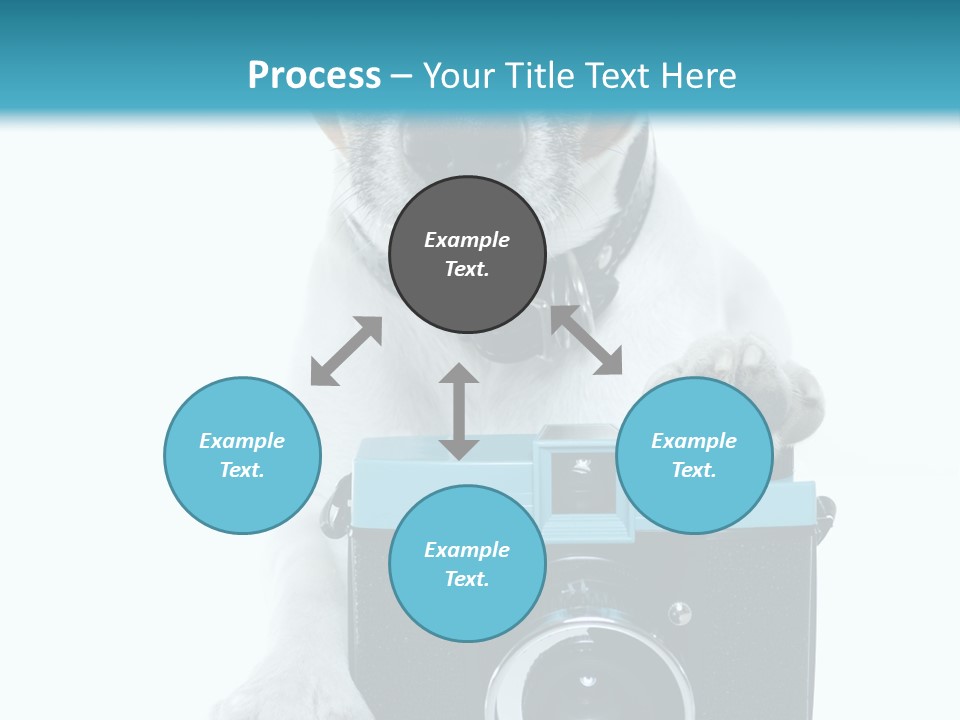 Photograph Photography Shot PowerPoint Template