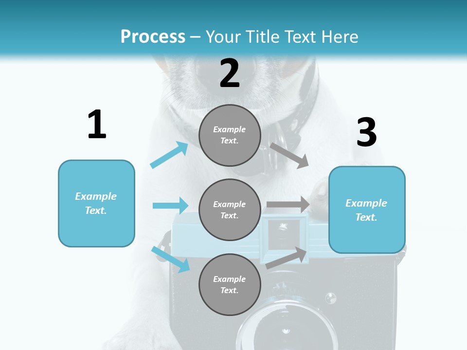 Photograph Photography Shot PowerPoint Template