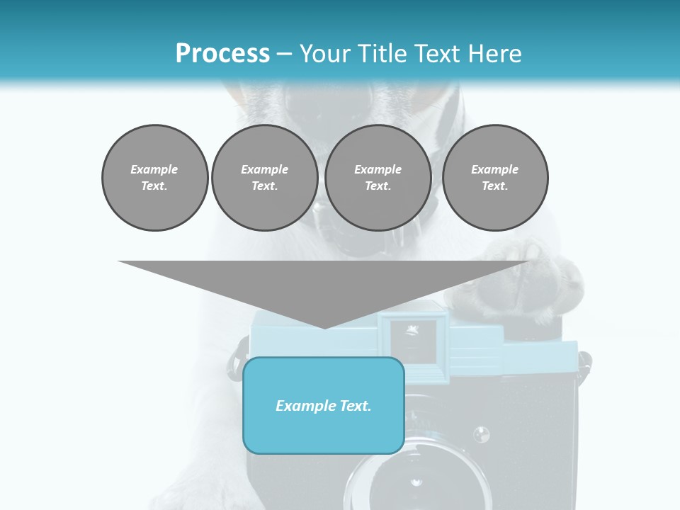 Photograph Photography Shot PowerPoint Template