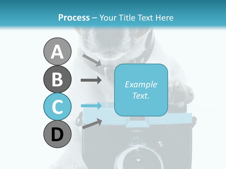 Photograph Photography Shot PowerPoint Template
