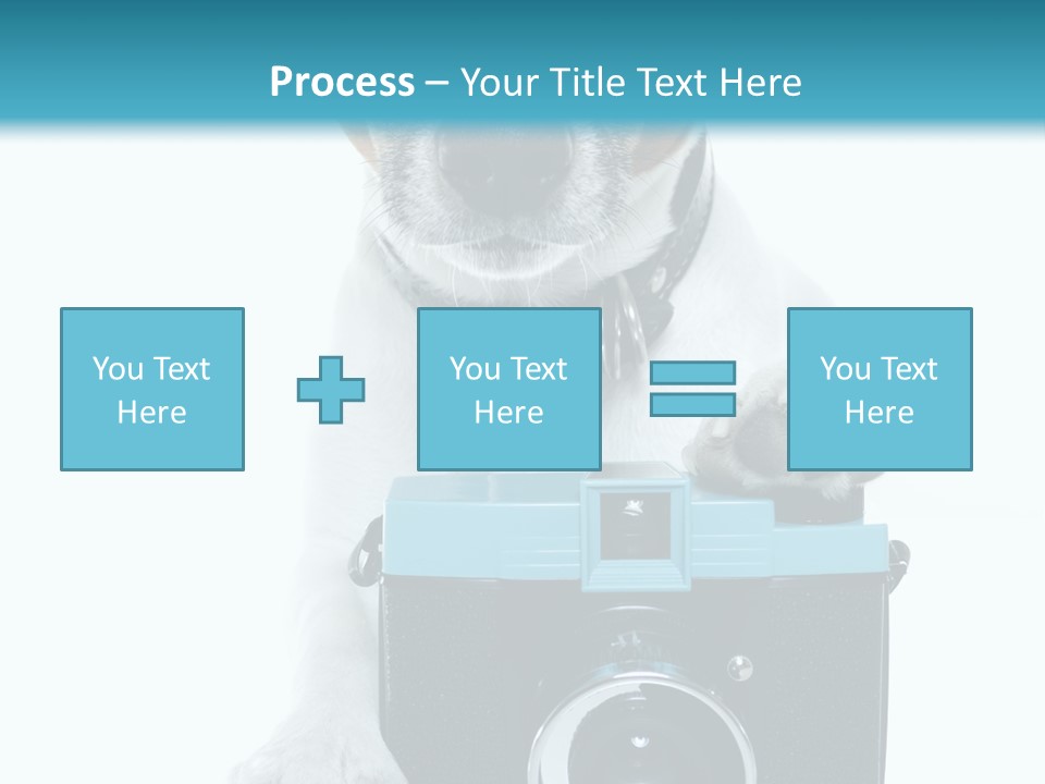 Photograph Photography Shot PowerPoint Template