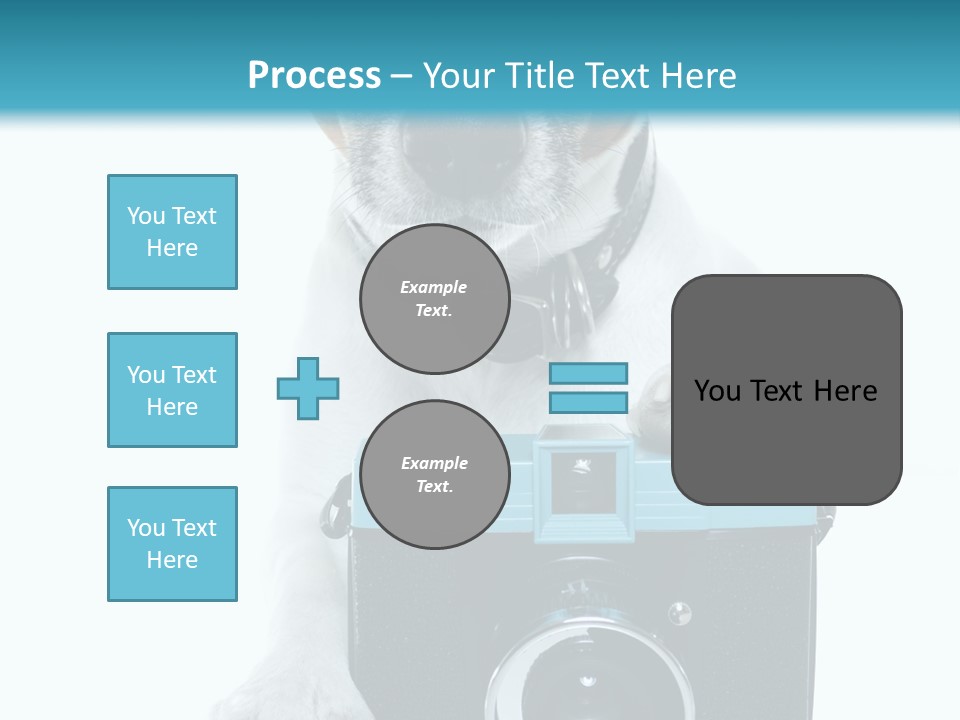 Photograph Photography Shot PowerPoint Template