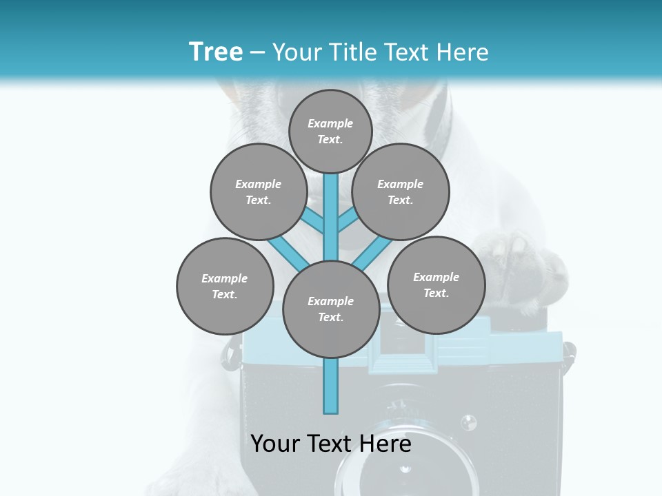 Photograph Photography Shot PowerPoint Template