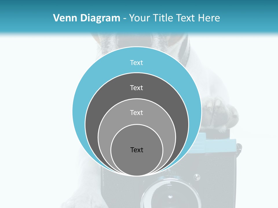 Photograph Photography Shot PowerPoint Template