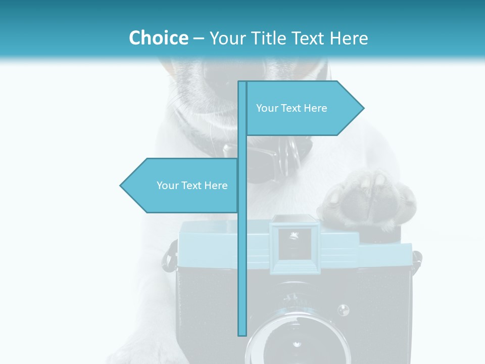 Photograph Photography Shot PowerPoint Template