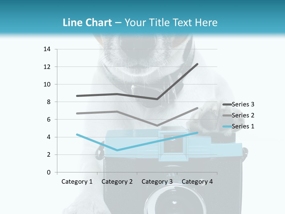 Photograph Photography Shot PowerPoint Template