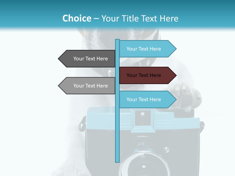 Photograph Photography Shot PowerPoint Template