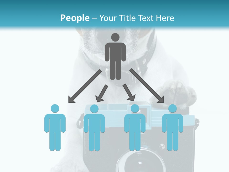 Photograph Photography Shot PowerPoint Template