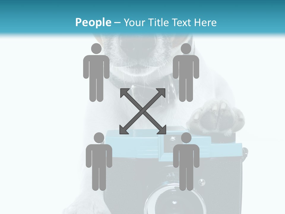 Photograph Photography Shot PowerPoint Template