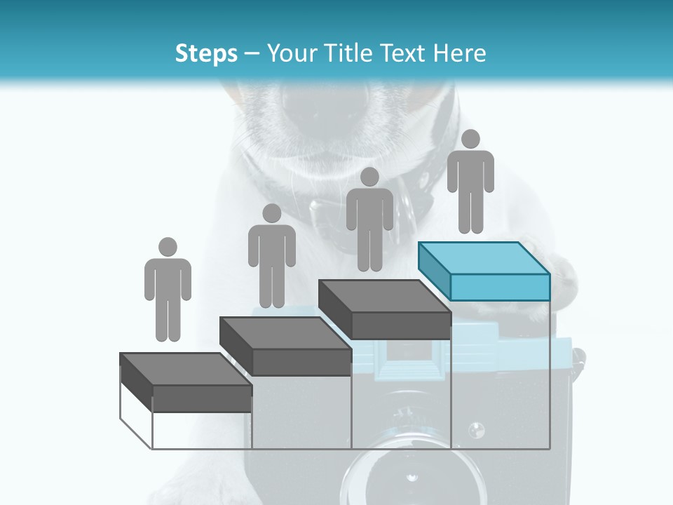 Photograph Photography Shot PowerPoint Template