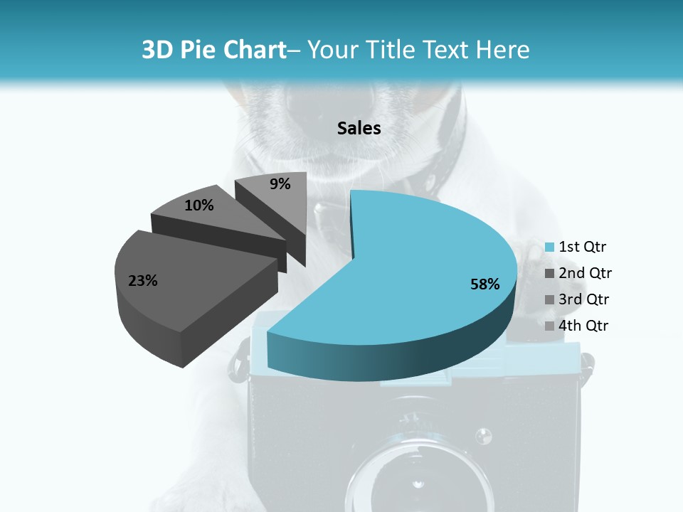 Photograph Photography Shot PowerPoint Template