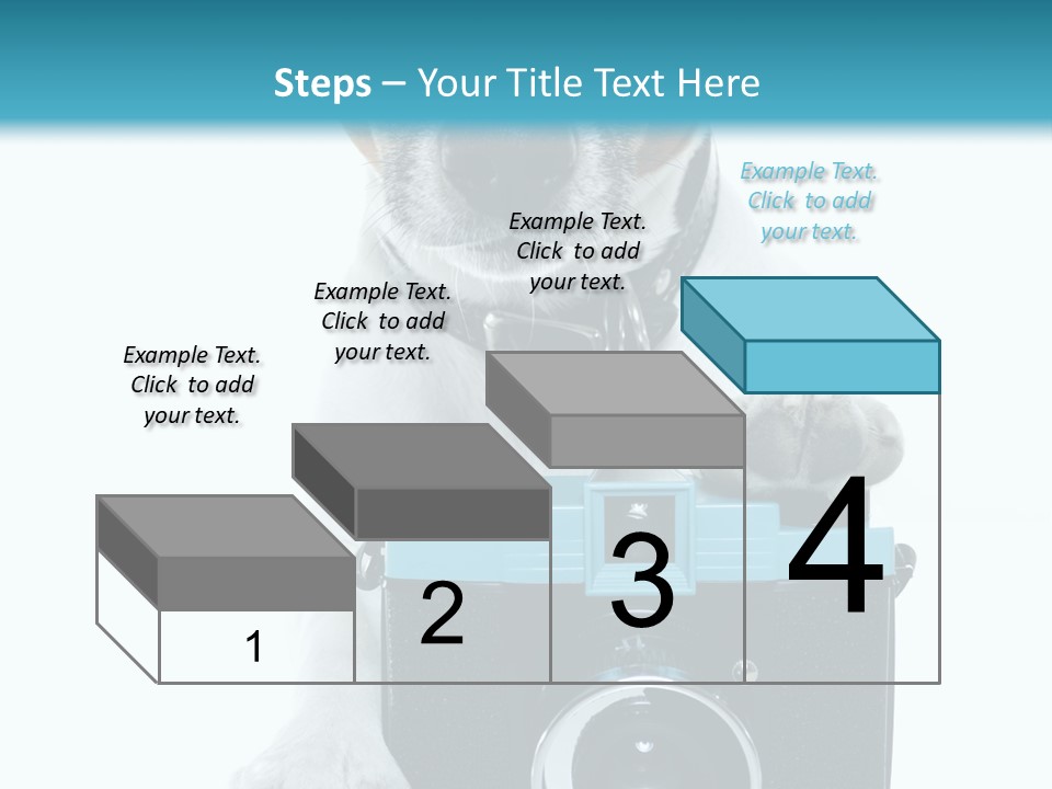 Photograph Photography Shot PowerPoint Template