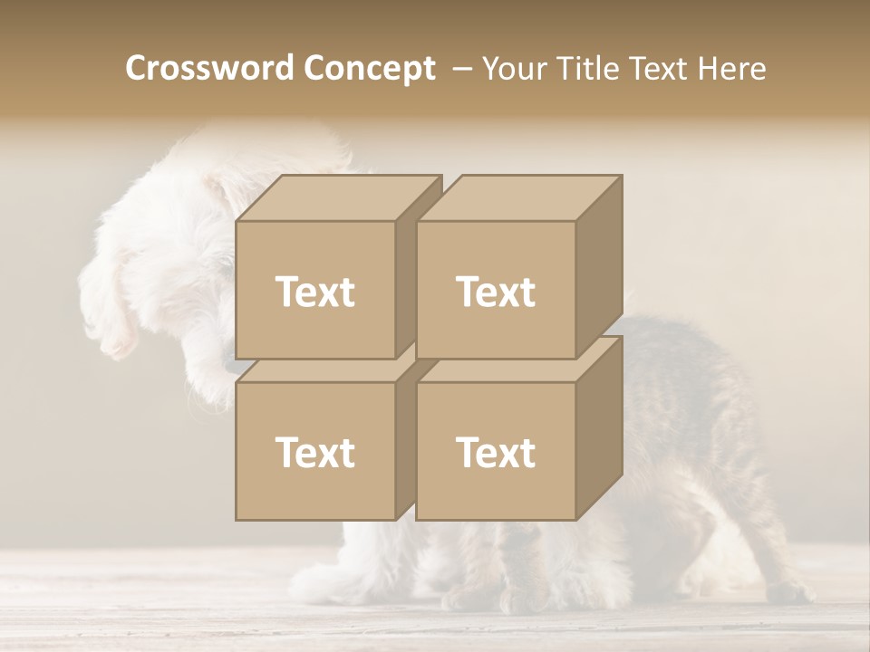 Lovely Tiny Youth PowerPoint Template