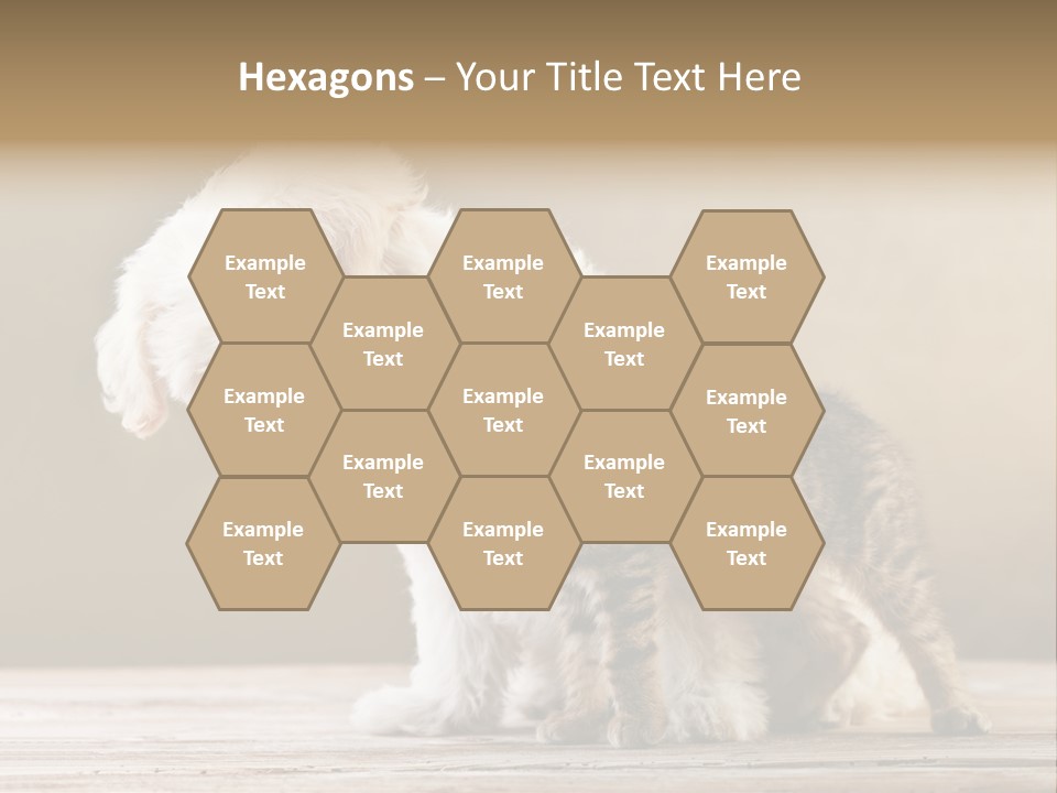 Lovely Tiny Youth PowerPoint Template