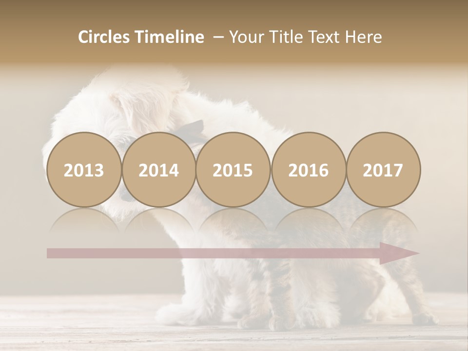 Lovely Tiny Youth PowerPoint Template