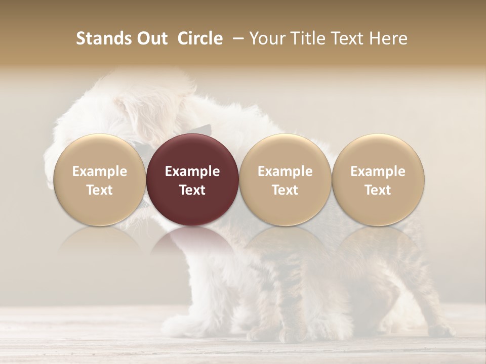 Lovely Tiny Youth PowerPoint Template