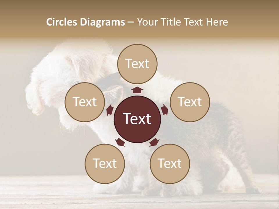 Lovely Tiny Youth PowerPoint Template