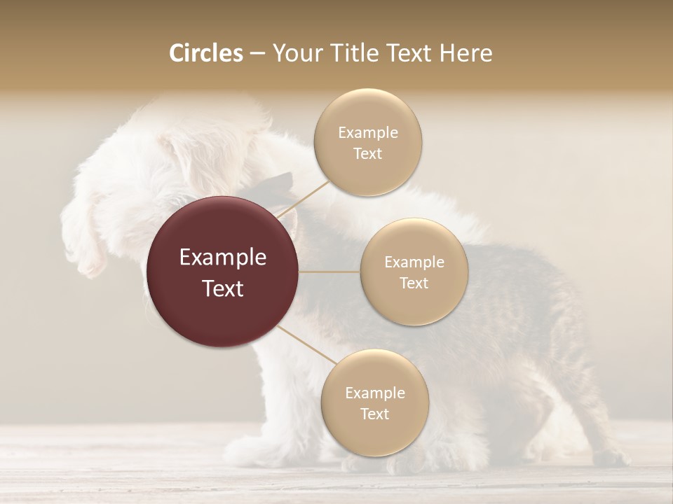 Lovely Tiny Youth PowerPoint Template